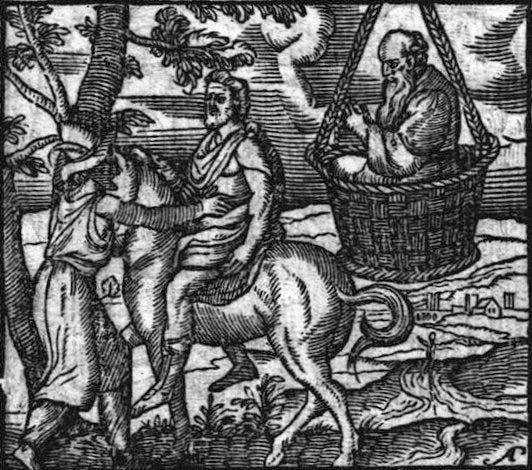 Socrates in a basket.jpg Socrates in a basket.jpg