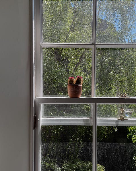 Gallery (3 images) - Image 1: Picnic setup with an open copy of Symposium, coffee in a reusable mug, and a half-eaten canelé. Image 2: Sunlit building front with greenery and a pale blue door. Image 3: My window with a cactus blooming with small pink flowers.