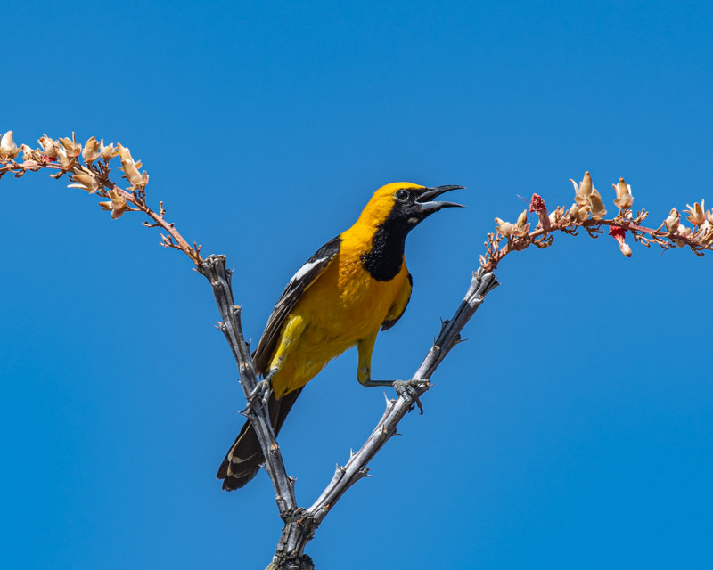 20200614_MBY-109.jpg 20200614_MBY-109.jpg