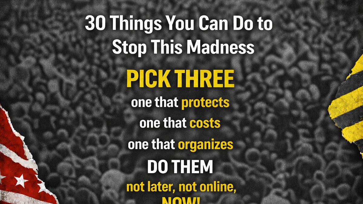 30 Real Things You Can Do Right Now to Stop ICE and the Slide Into ...