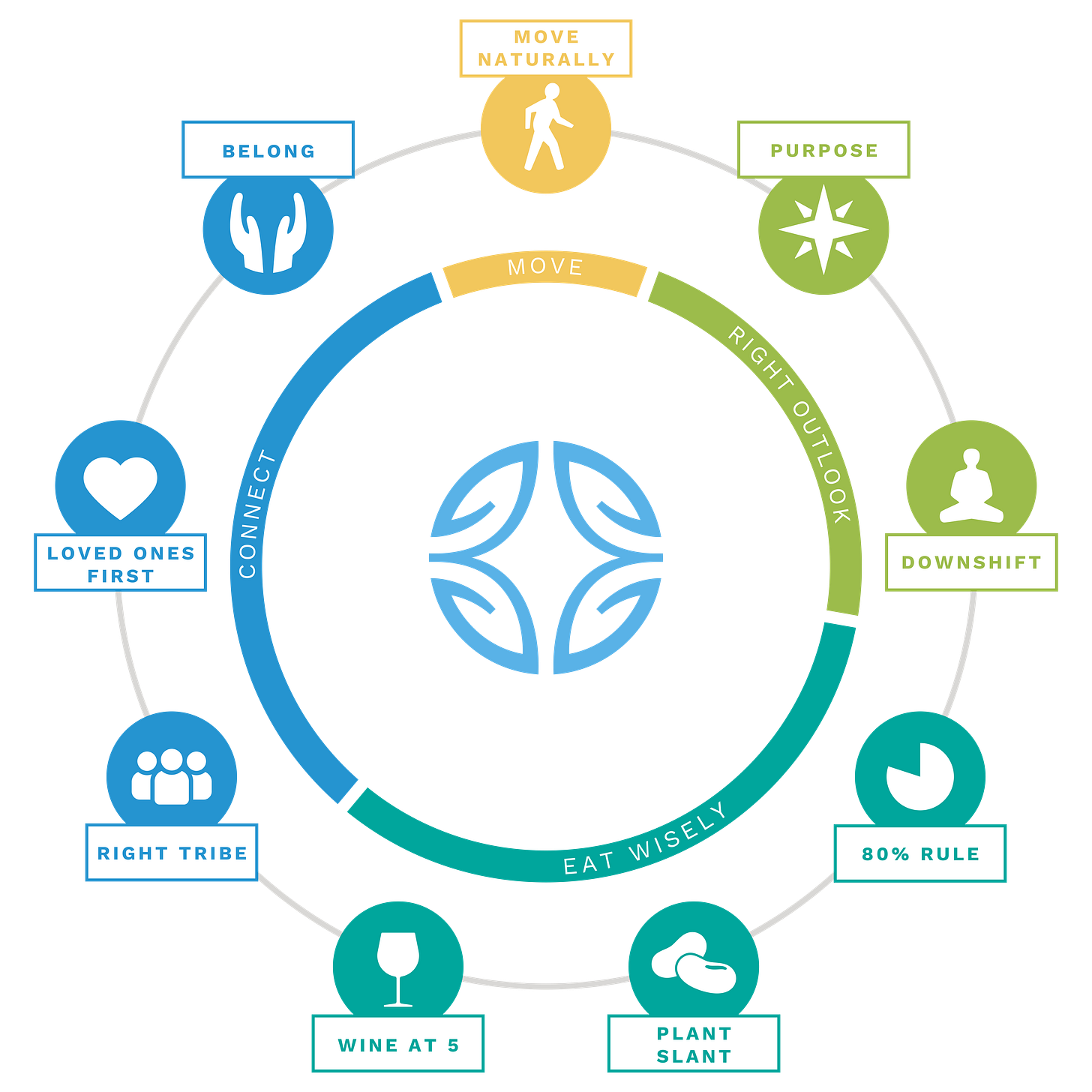 Blue Zones Power 9 graphic Blue Zones Power 9 graphic