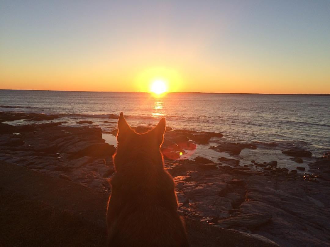 Letters from New England