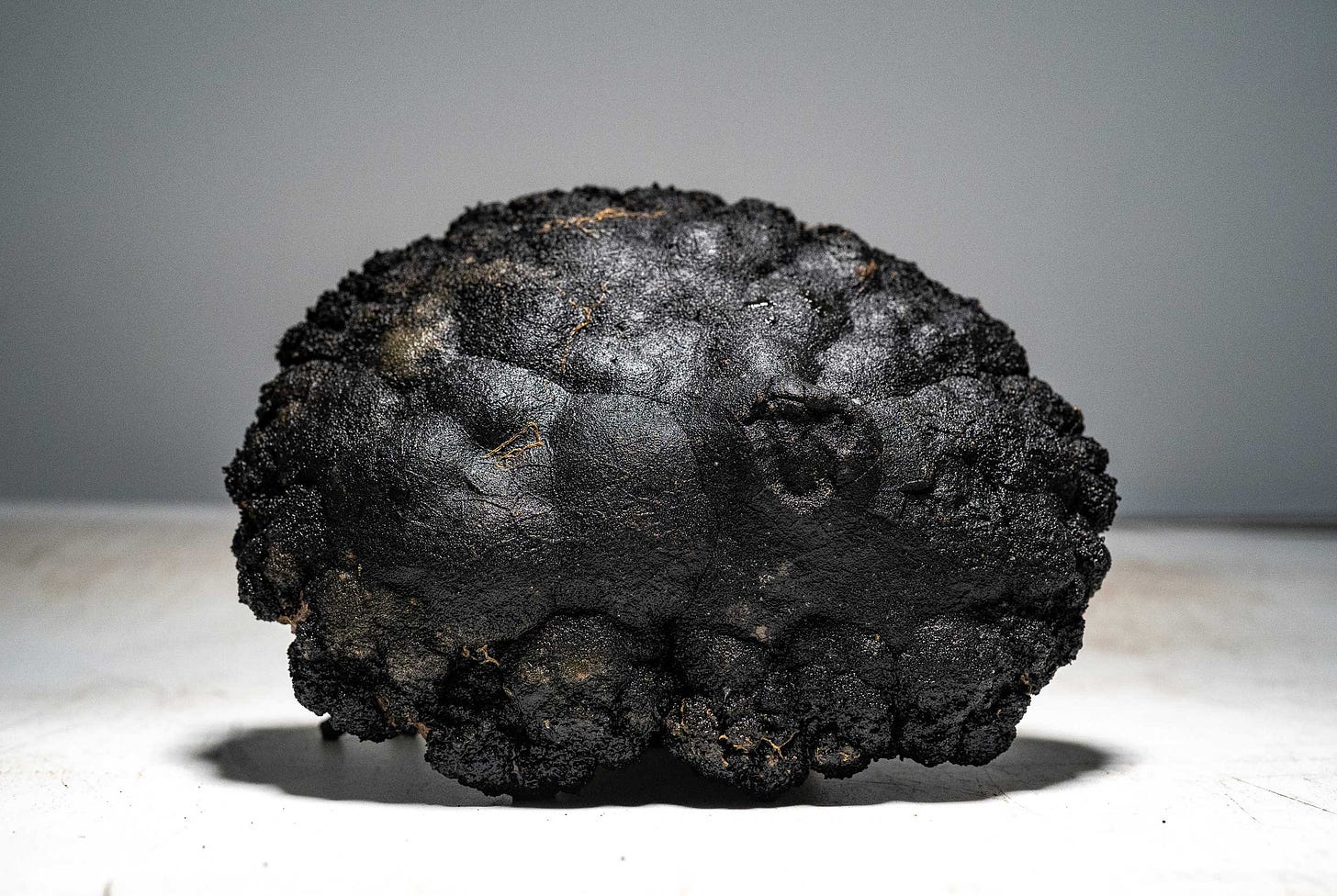 Polymetallic Nodules: Metal Resources Hidden in the Deep Sea | by UP ... Polymetallic Nodules: Metal Resources Hidden in the Deep Sea | by UP ...