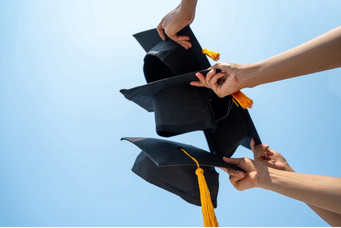 Teach Out and How It Works - by Dr. Paula Langteau