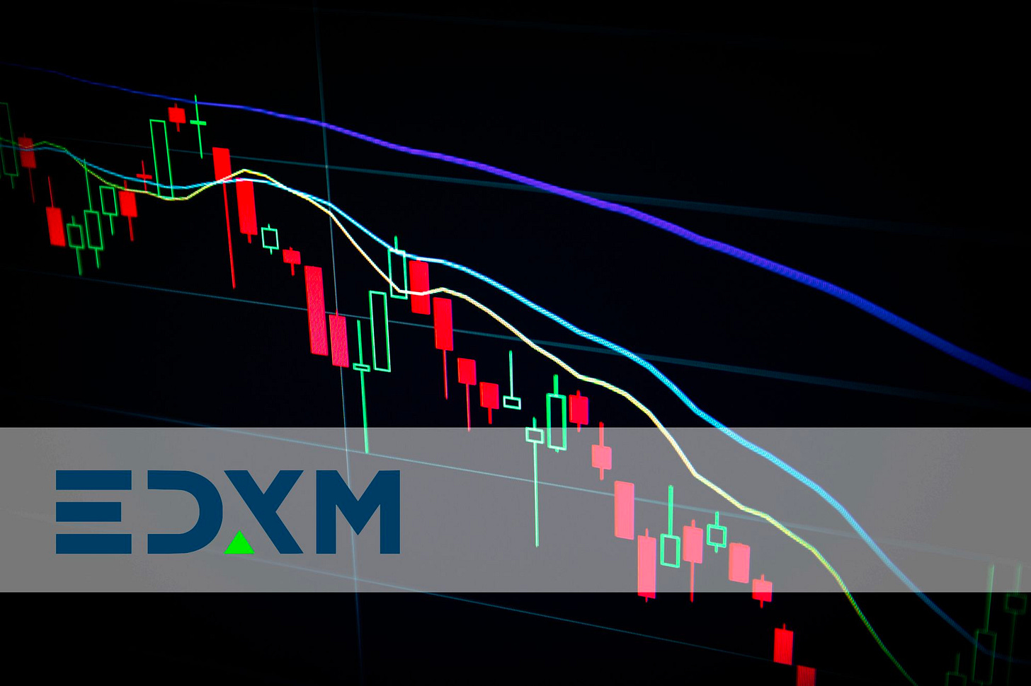 每週幣報0624 - by Jack Chai and Julie - WalkinCat 走路貓