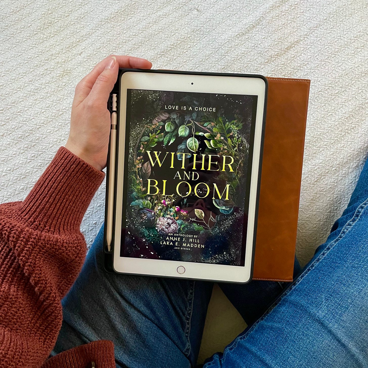 original cover reveal.jpg