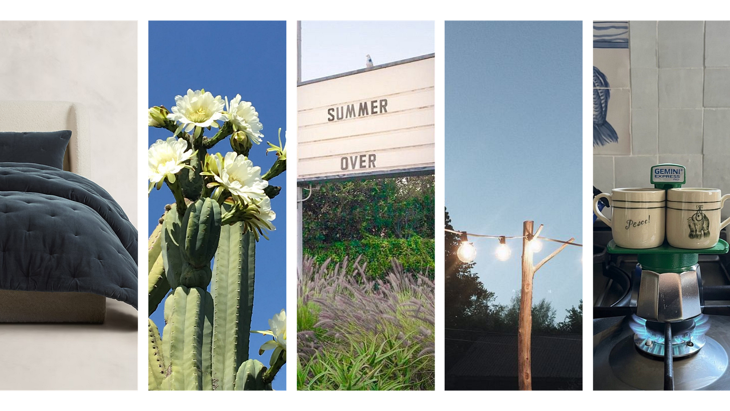 How to avoid rug buying mistakes in your home