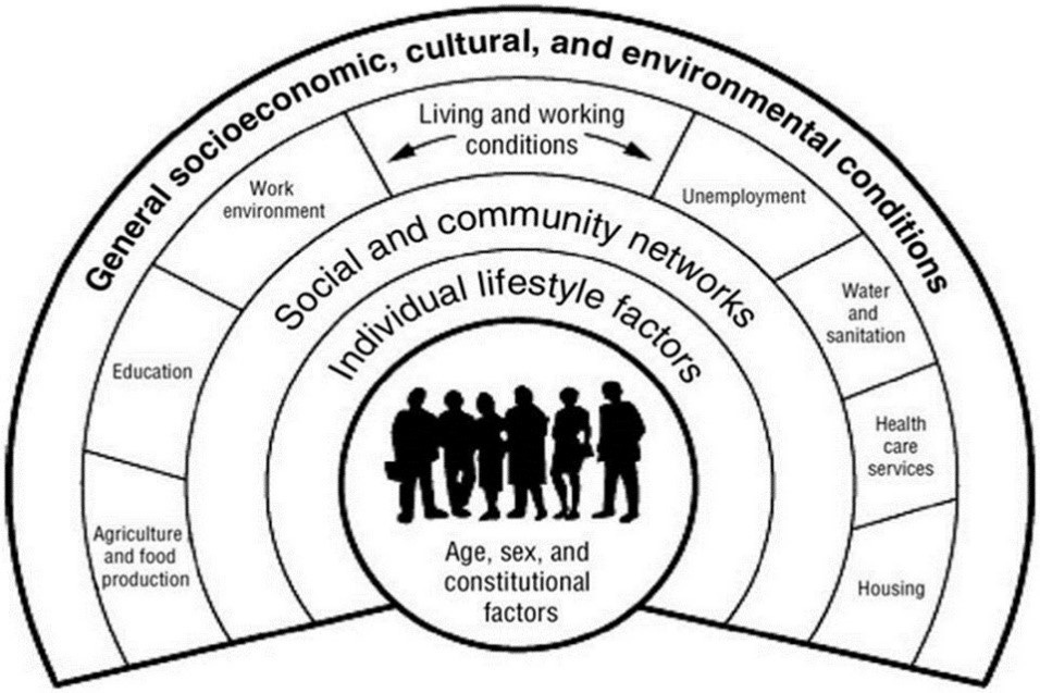 What makes us healthy? Exploring the determinants of health in Saskatchewan  - Health Quality Council