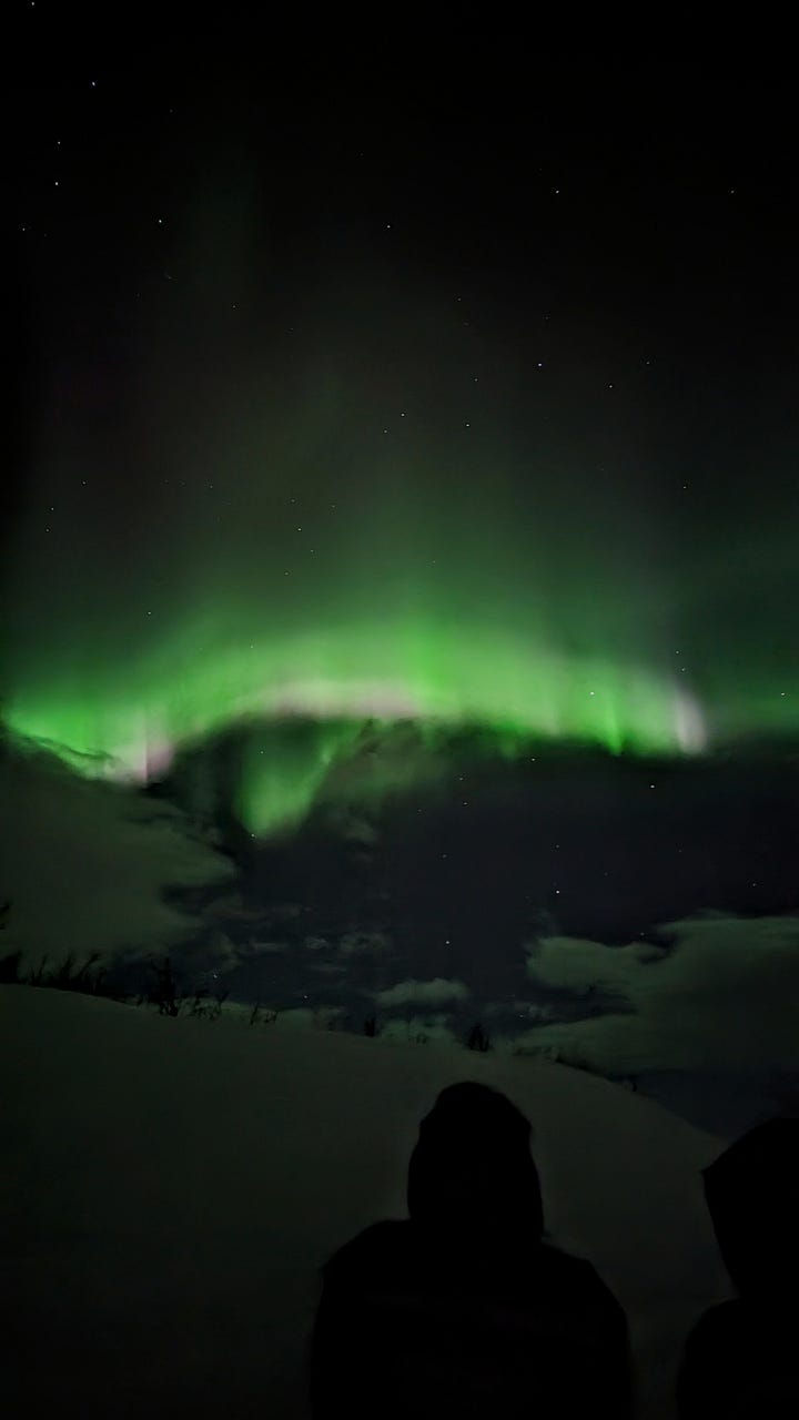 Pale icy pink and white edge a vibrant green curtain which reaches across the whole sky, illuminating the snow below.