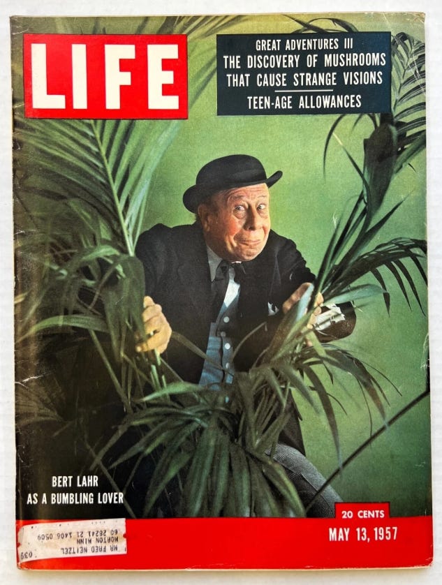 Life magazine cover featuring actor Bert Lahr pulling an amusing face as he peers through palm fronds. It is captured ‘Bert Lahr as a bumbling lover’, for reasons I haven’t discovered