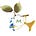 DrMycoForestry's avatar