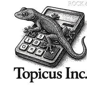 Topicus Pt. 2, How To Value Topicus