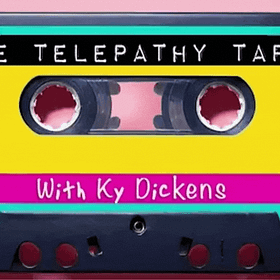 Electromagnetic Fields as Timeless Information Reservoirs