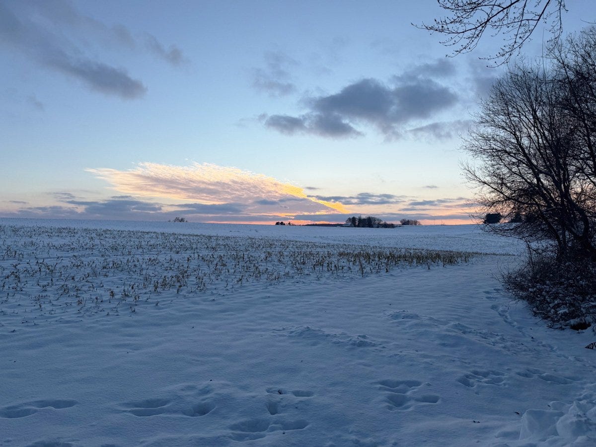 winter sunset across a snowy field