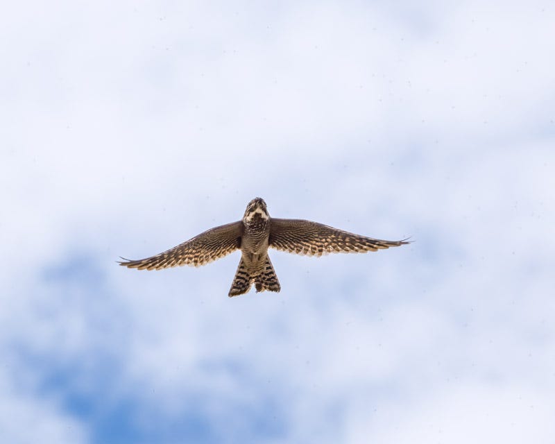 20260615-mby-238-Edit.jpg