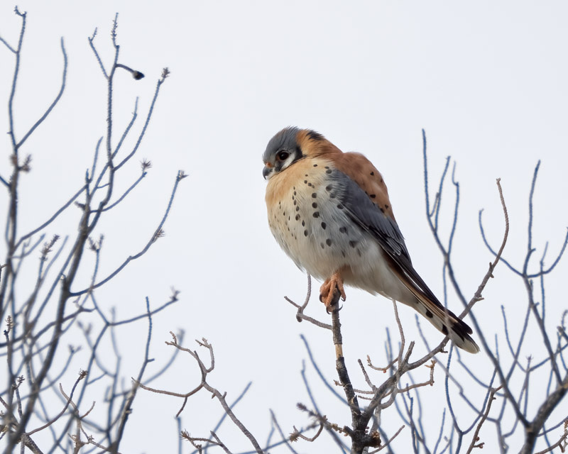 20260205-AvraValley-118-Edit.jpg 20260205-AvraValley-118-Edit.jpg