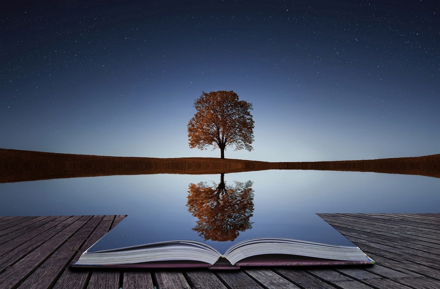 Win your life by harnessing The Power Of Reflection | by Rybo Chen | Thrive Global | Medium Win your life by harnessing The Power Of Reflection | by Rybo Chen | Thrive Global | Medium
