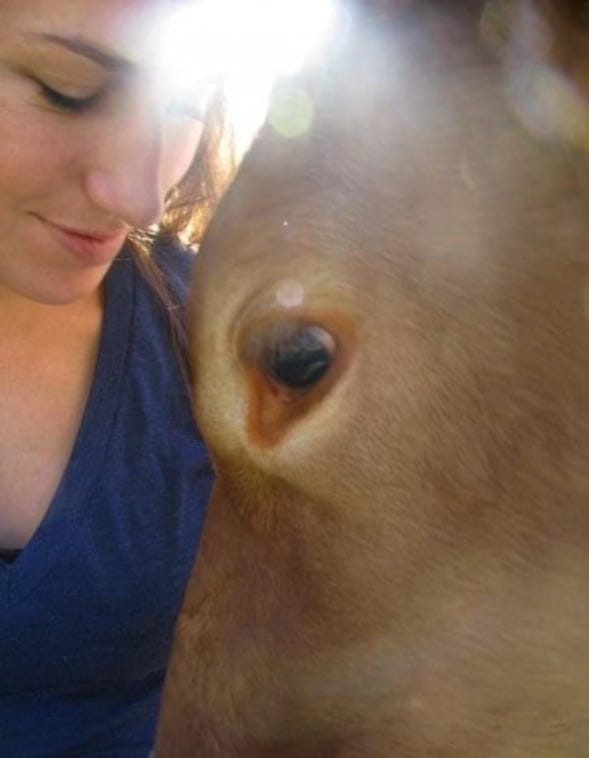 Selfies of Connie with sheep, cow, and goats.
