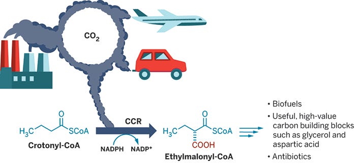 Synthetic-biology-pulls-CO2-atmosphere