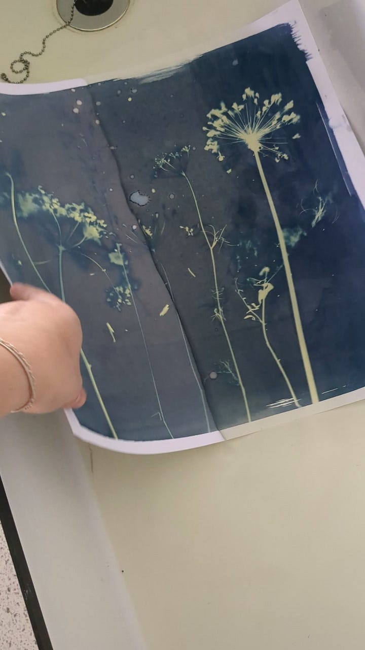 cyanotype process
