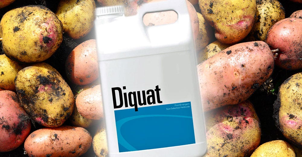 diquat-damages-intestines
