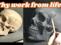 
      
        Why Draw & Paint From Life?
      
    