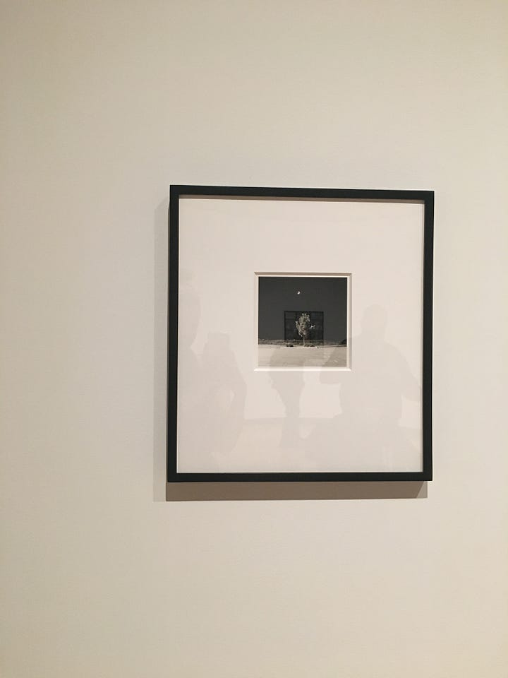 Robert Adams — Fort Collins, Colorado [1976] / Myoung Ho Lee — Tree… #2 [2012].