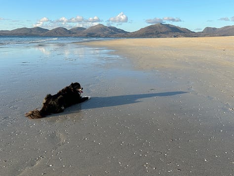 Photographs of Luskentyre Beach with Billy the Collie