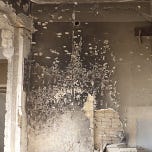 La newsletter di Giulio Meotti