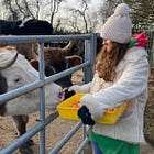 Mucking in at Foal Farm