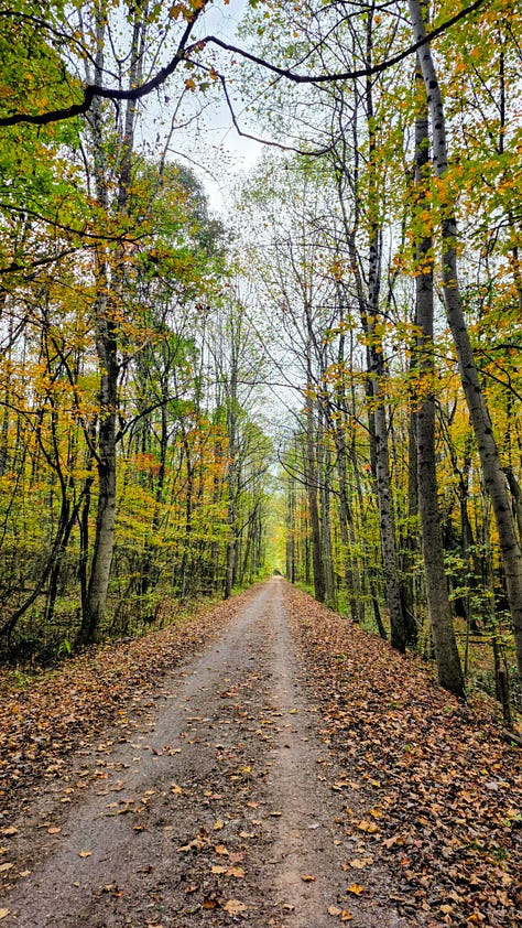 Scenes on the Great Allegheny Passage to Confluence ence