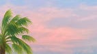 Friend of the Old Palm Tree