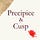 Precipice & Cusp