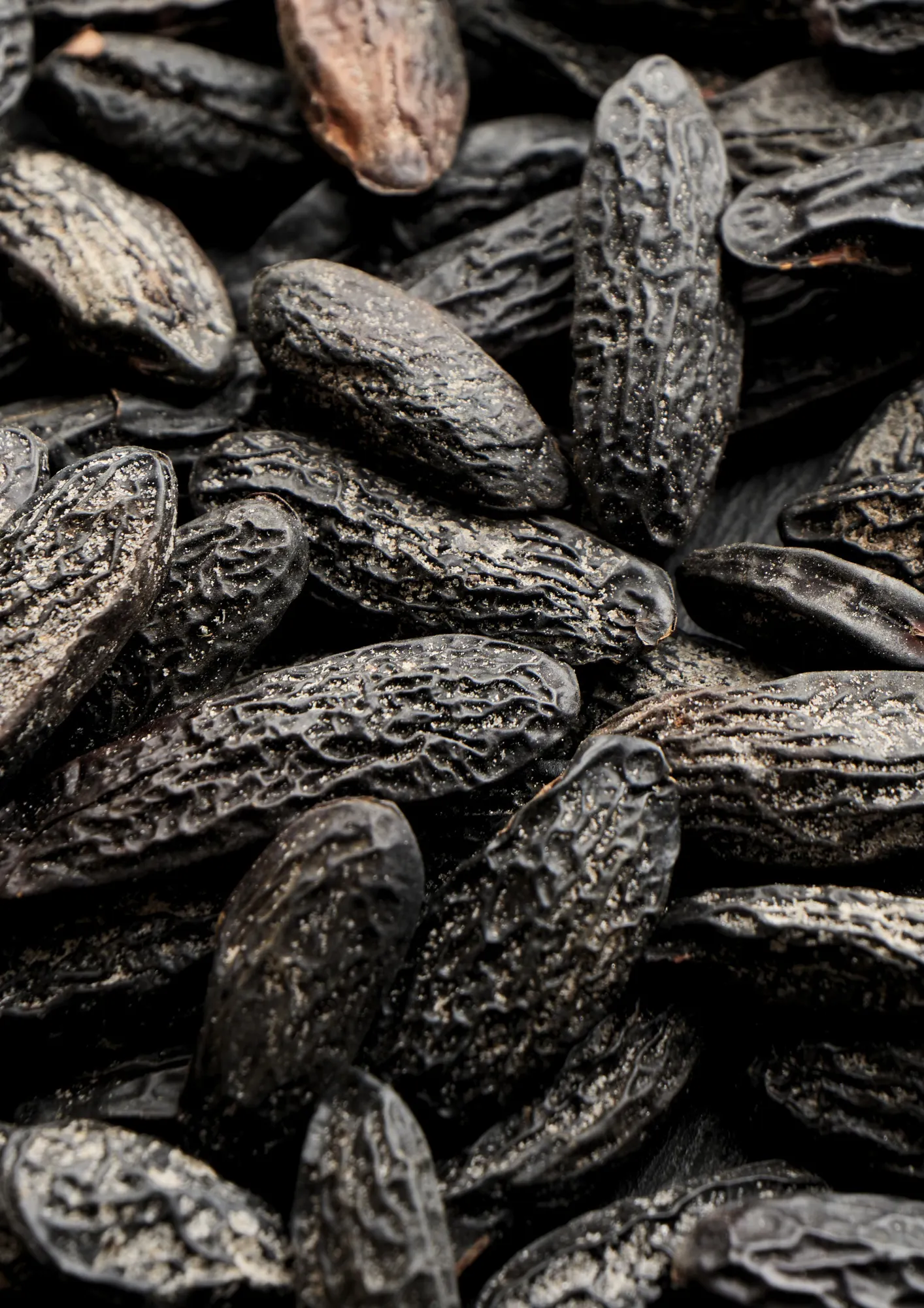 Tonka Bean