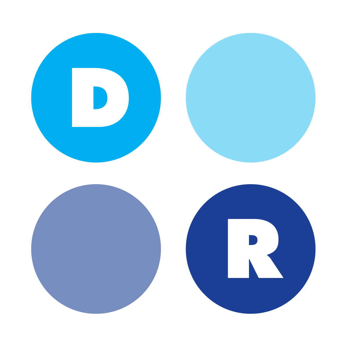 Data Revelations Newsletter logo