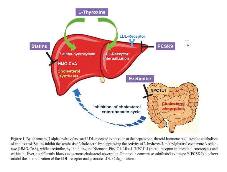 LDL elevation