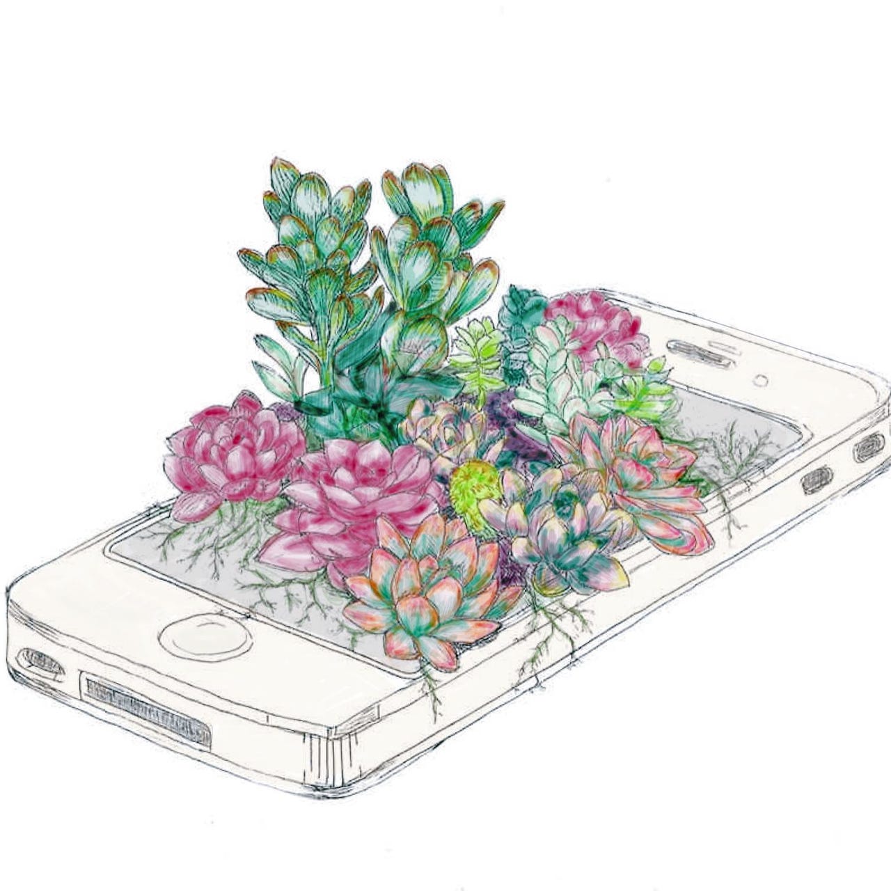 The Social Media Detox