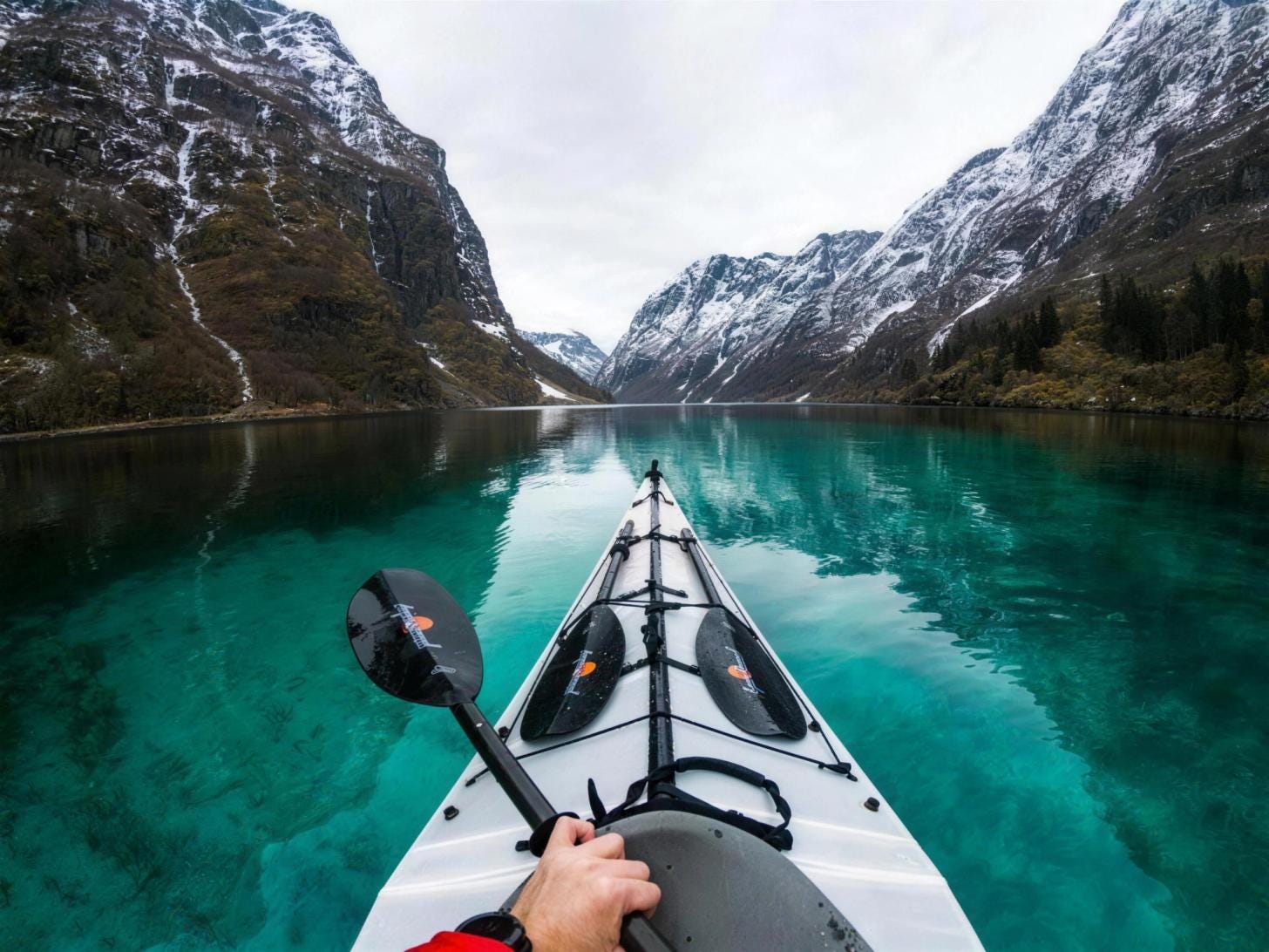Kayak Kayak