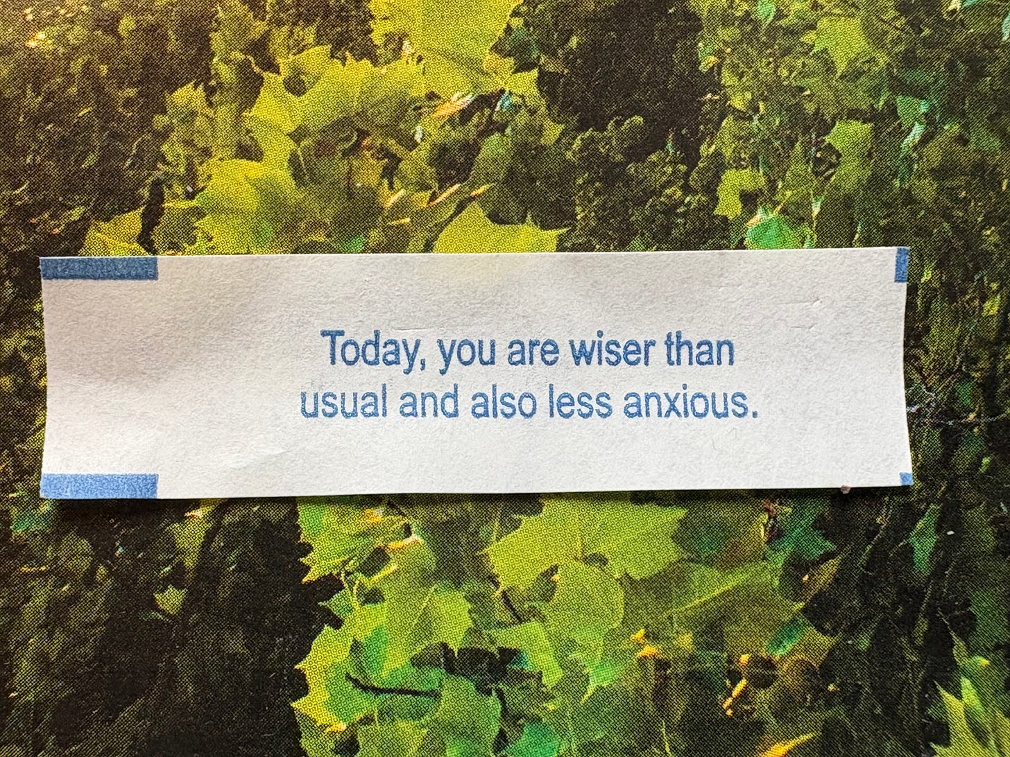 fortune cookie slip against green background: "Today, you are wiser than usual and also less anxious."
