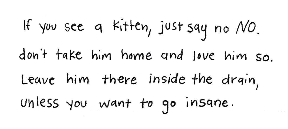 If you see a kitten, just say no