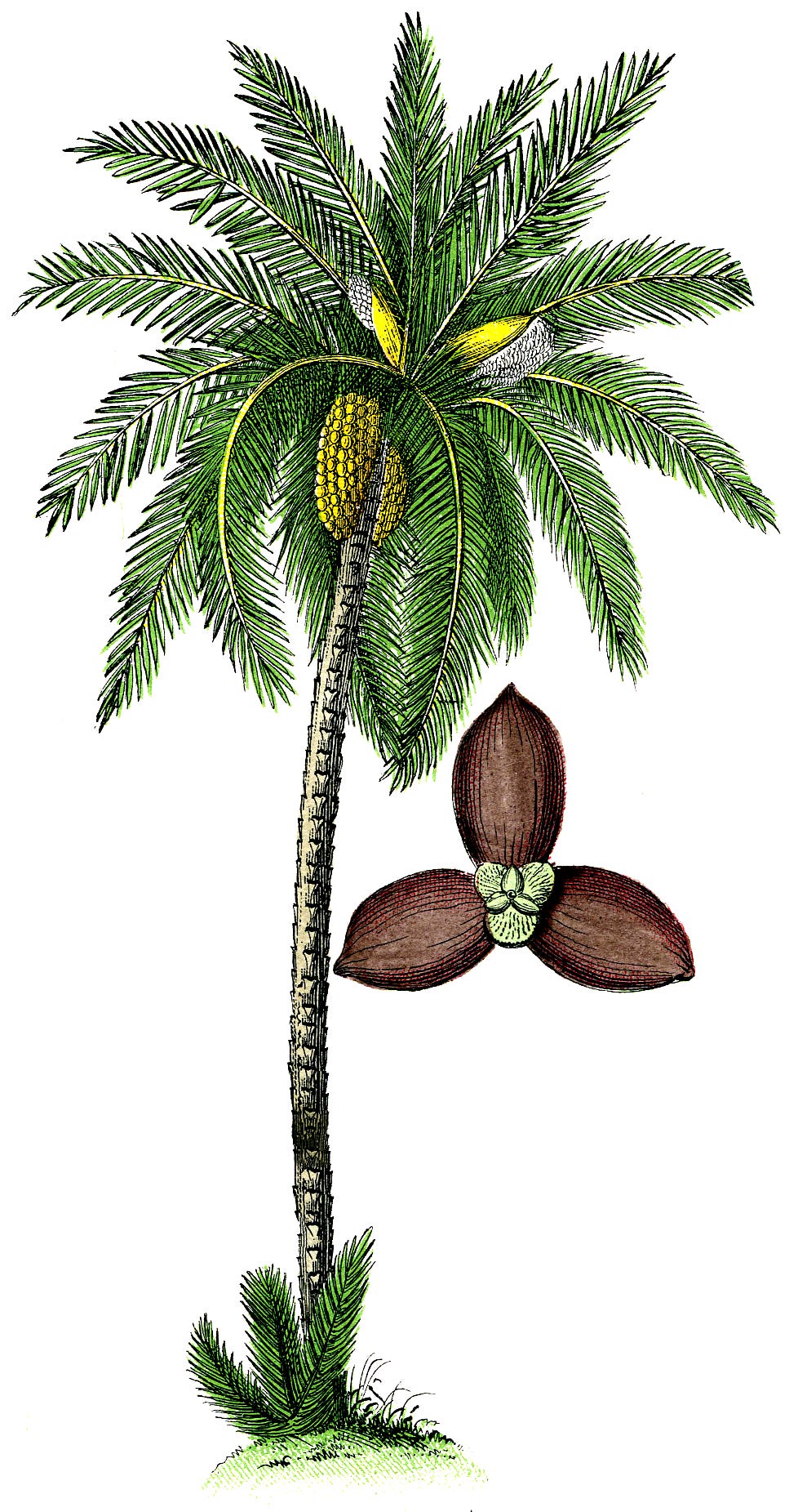 IMG_9145.png IMG_9145.png