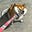 user1633717891771's avatar