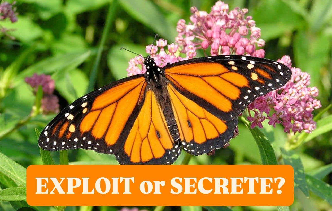 A butterfly on a flower

AI-generated content may be incorrect.