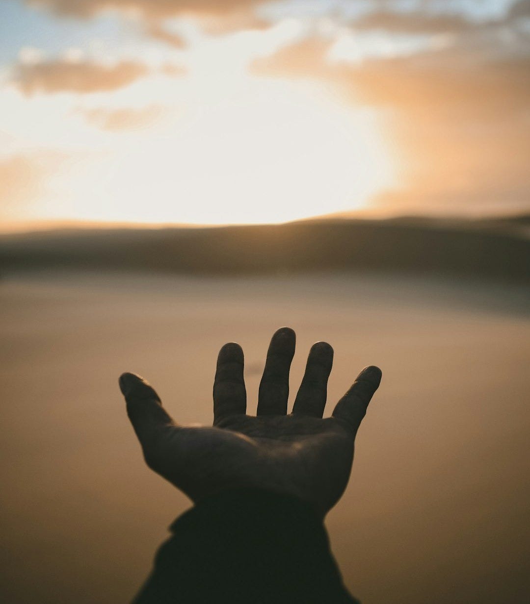 person's hand person's hand