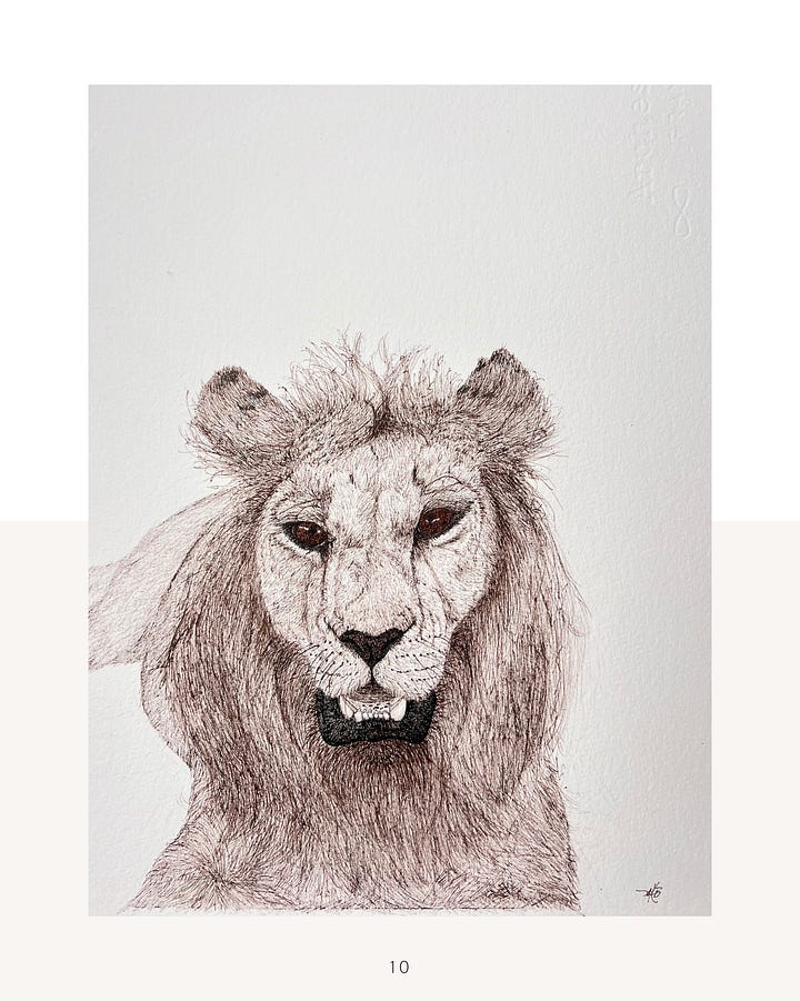 wildlife portraits, ink on paper