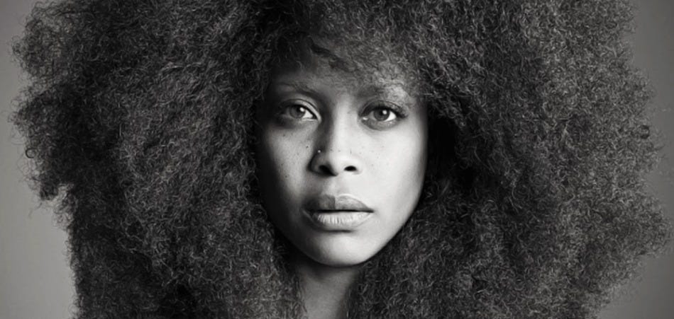 heroes and zeros erykah badu vs ray lewis 2016 opinion heroes and zeros erykah badu vs ray lewis 2016 opinion