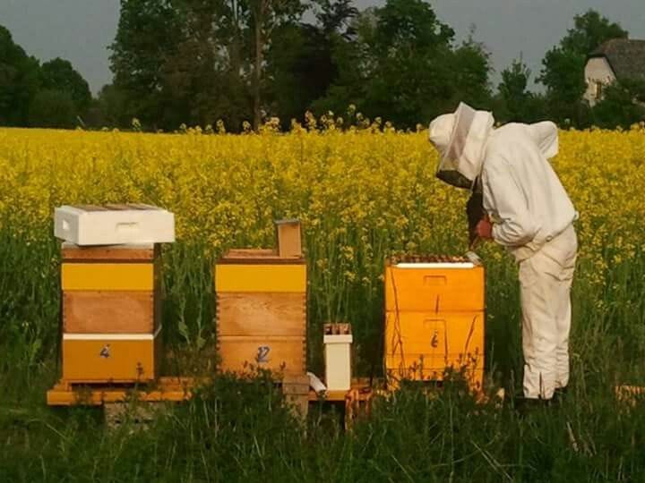 This may contain: a man in bee suit standing next to two beeshives on a field with yellow flowers