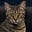Clifton Oliver's avatar