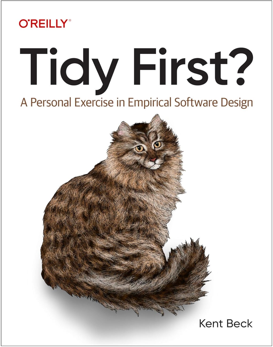 Book cover for "Tidy First?" by Kent Beck, published by O'Reilly. It shows a fluffy cat under the title.