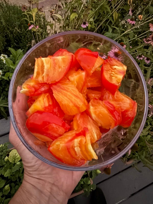 Left a whole tomato in a man's hand, right same tomato chunky cut into a glass bowl.